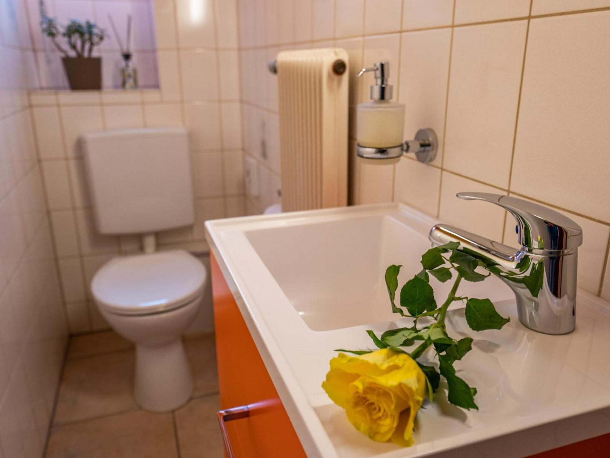 Ferienwohnung Dietsche Todtnau Buitenkant foto